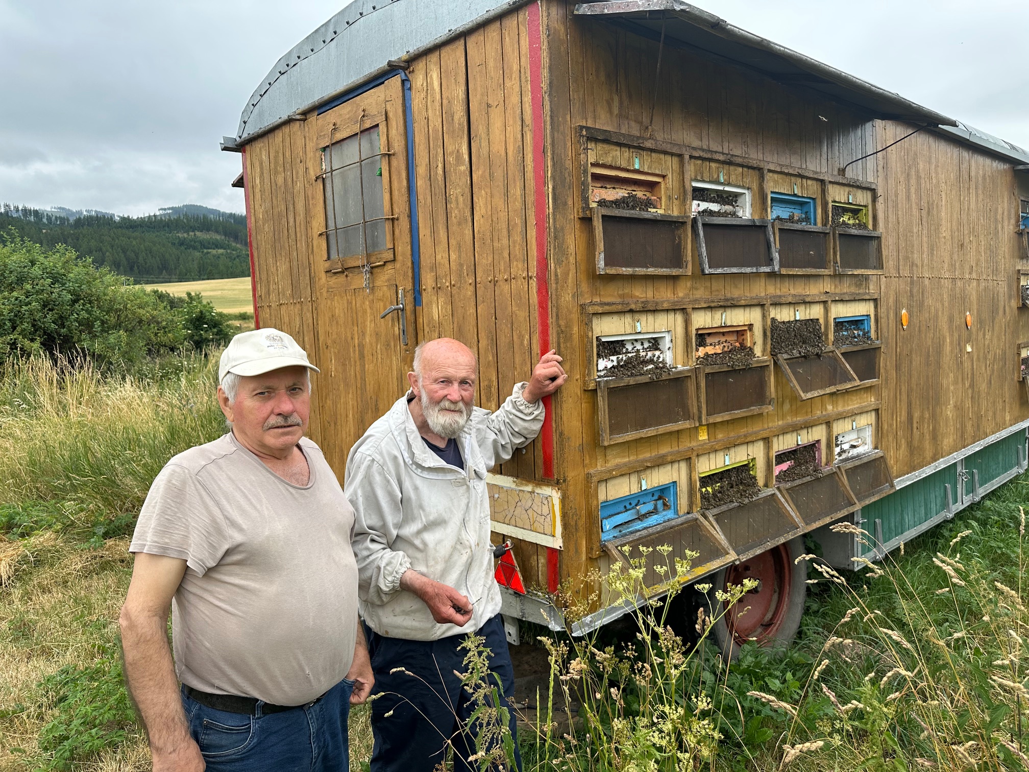 Včelia matka Tatranka v chove pána Jozefa Tómu