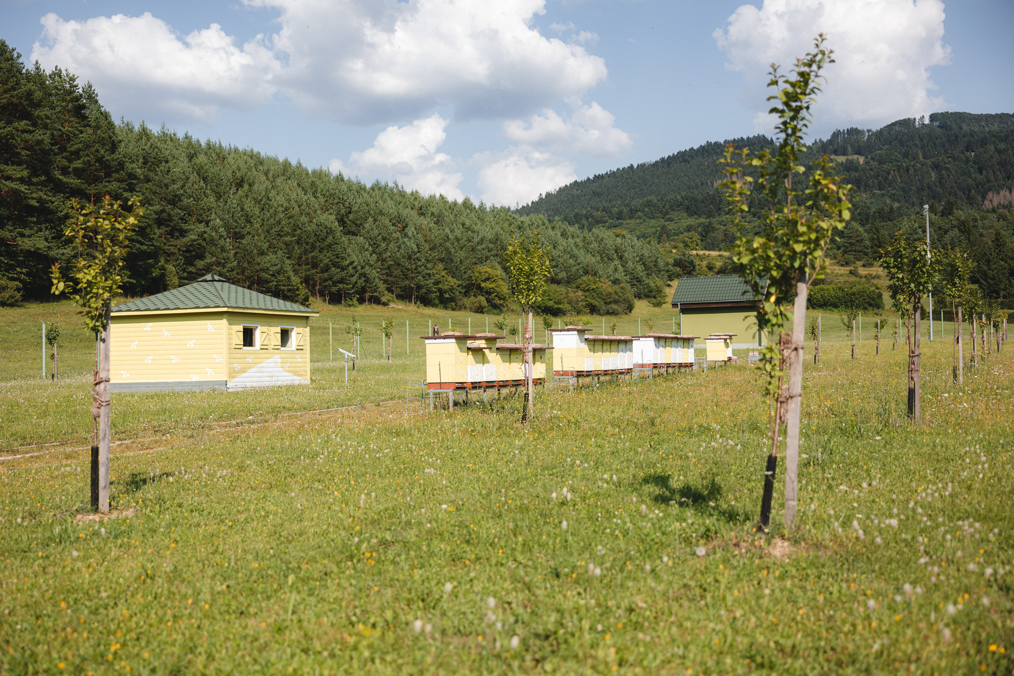Horská včelnica
